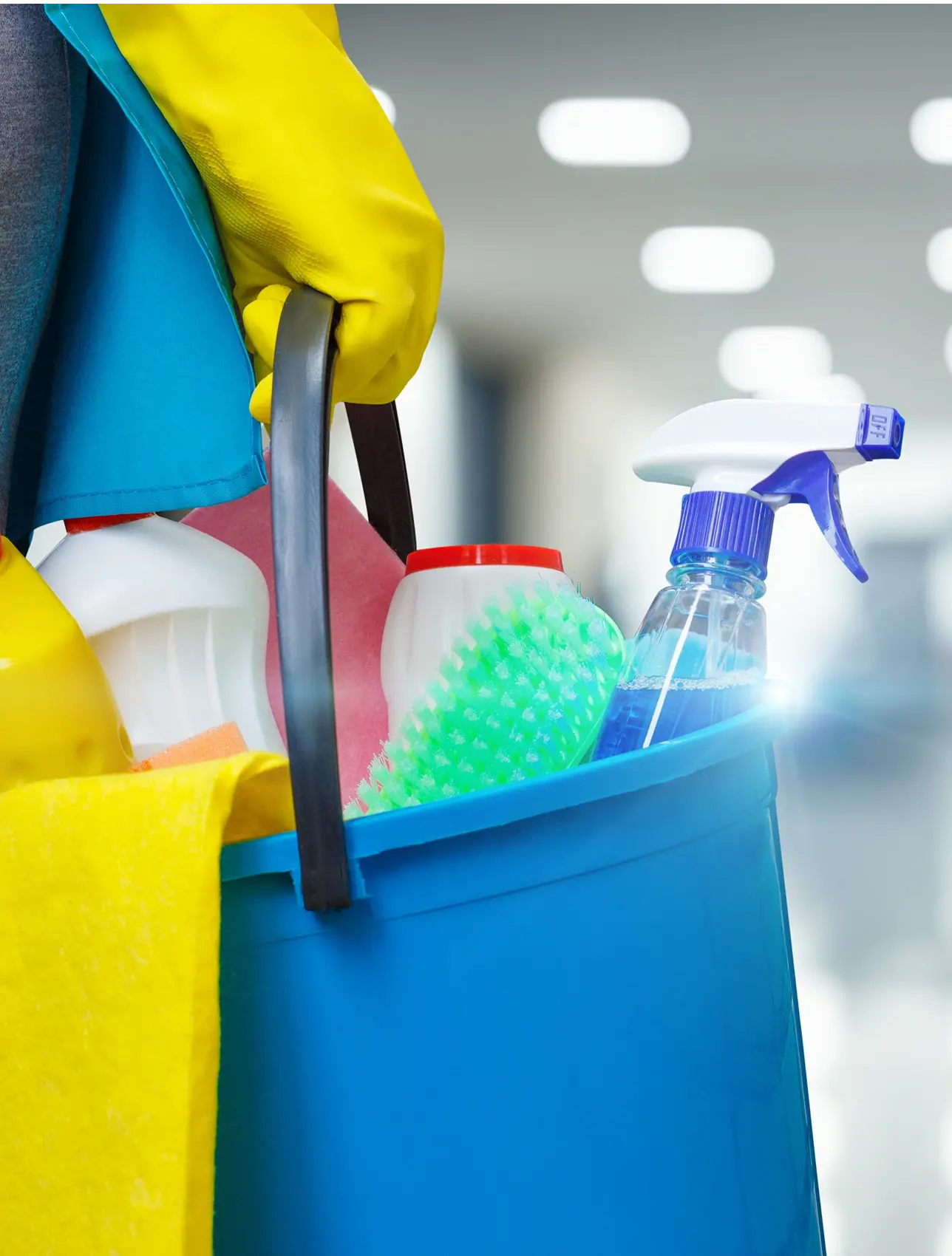 cleaning-supplies