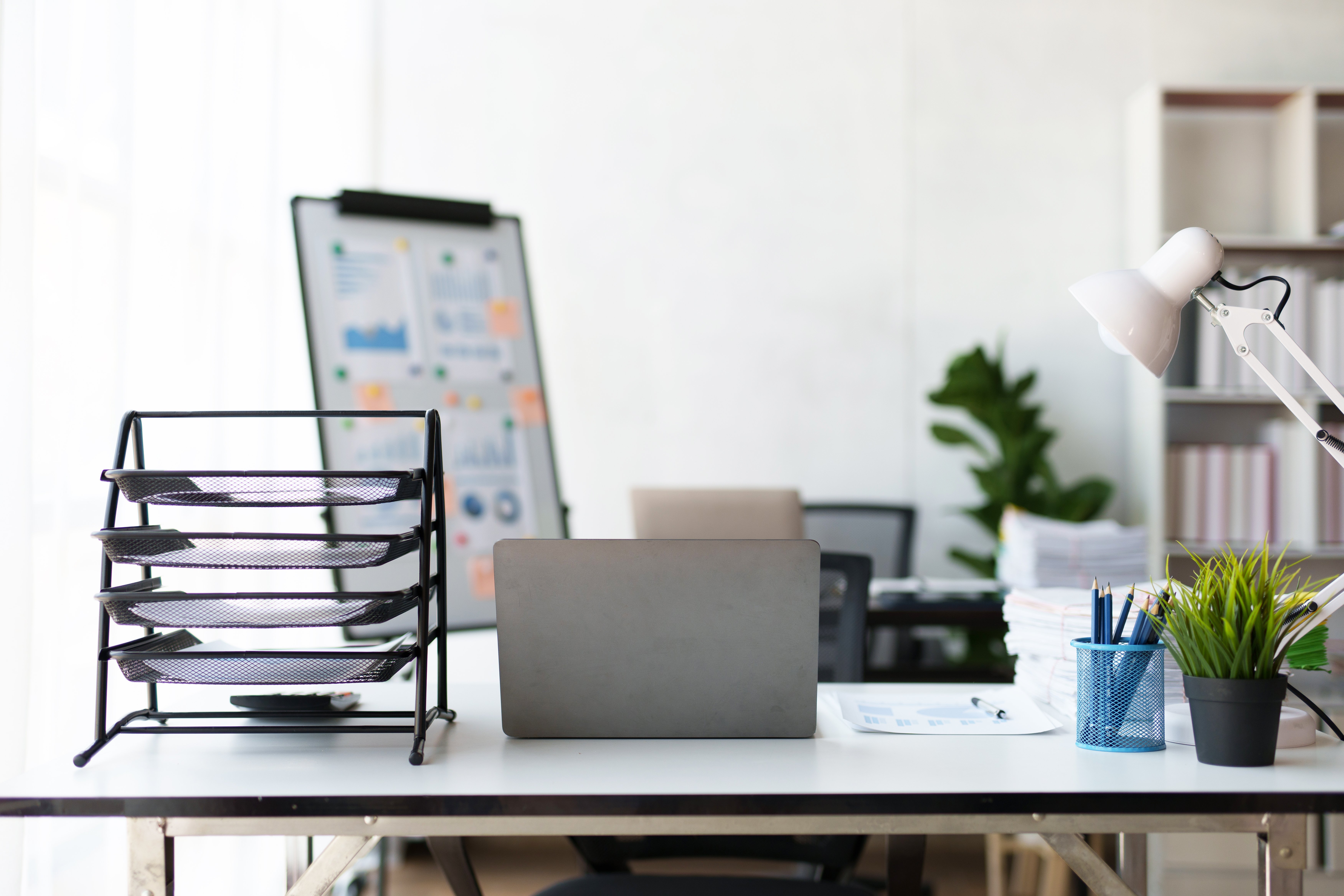 image-of-a-modern-modern-office-work-room-with-a-p-2025-03-09-09-53-47-utc